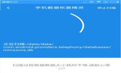 小狐狸钱包无法登录的常见原因及解决方案